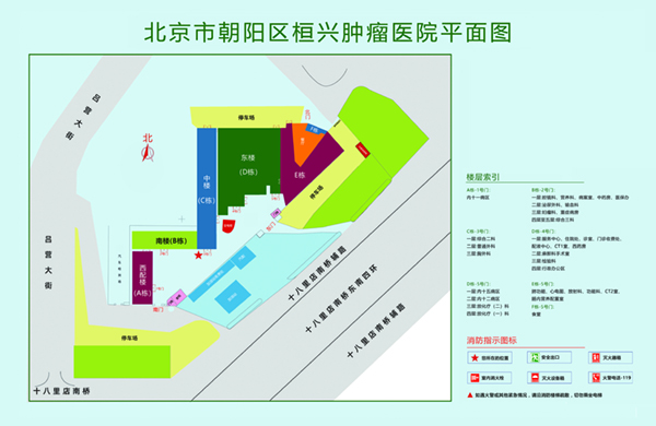 日本老太婆操B视频免费看北京市朝阳区桓兴肿瘤医院平面图